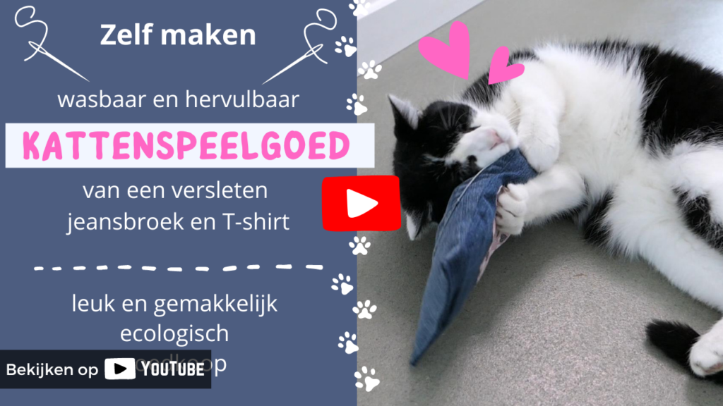 greenPAWS heeft een YouTube kanaal voor de creatieve catlover