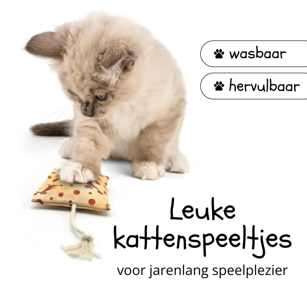 leuke wasbare en hervulbare kattenspeeltjes voor jarenlang speelplezier
